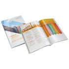 Advertising Brochure Printing Services With Professional Developing Team