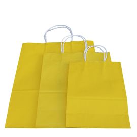 Customized Color Shopping Paper Gift Bags With Handles 15X8X21 Cm