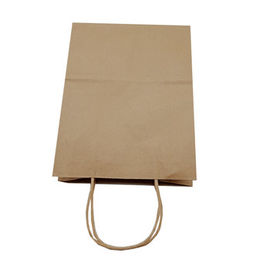 Custom Logo Paper Gift Bags , Eco - Friendly Paper Bag With Handles