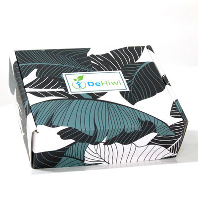 Rectangular Airplane Recycled 300gsm Corrugated Paper Box