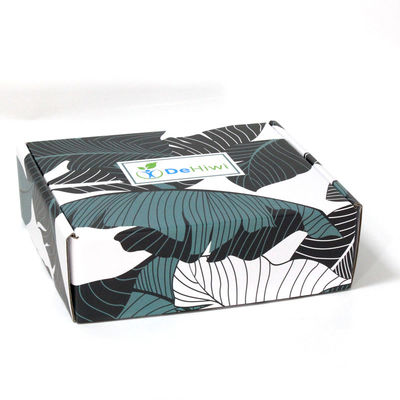 Rectangular Airplane Recycled 300gsm Corrugated Paper Box