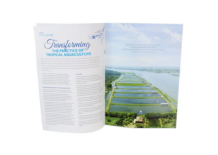 Advertising Brochure Printing Coated Paper Offset Printing A4 A5 A6 Size